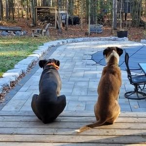 Meet your Posher, Brittnee